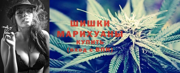 прущие крисы Вяземский